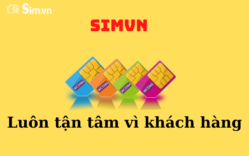 SIMvn – Tăng tốc trên đường đua trong lĩnh vực sim số đẹp